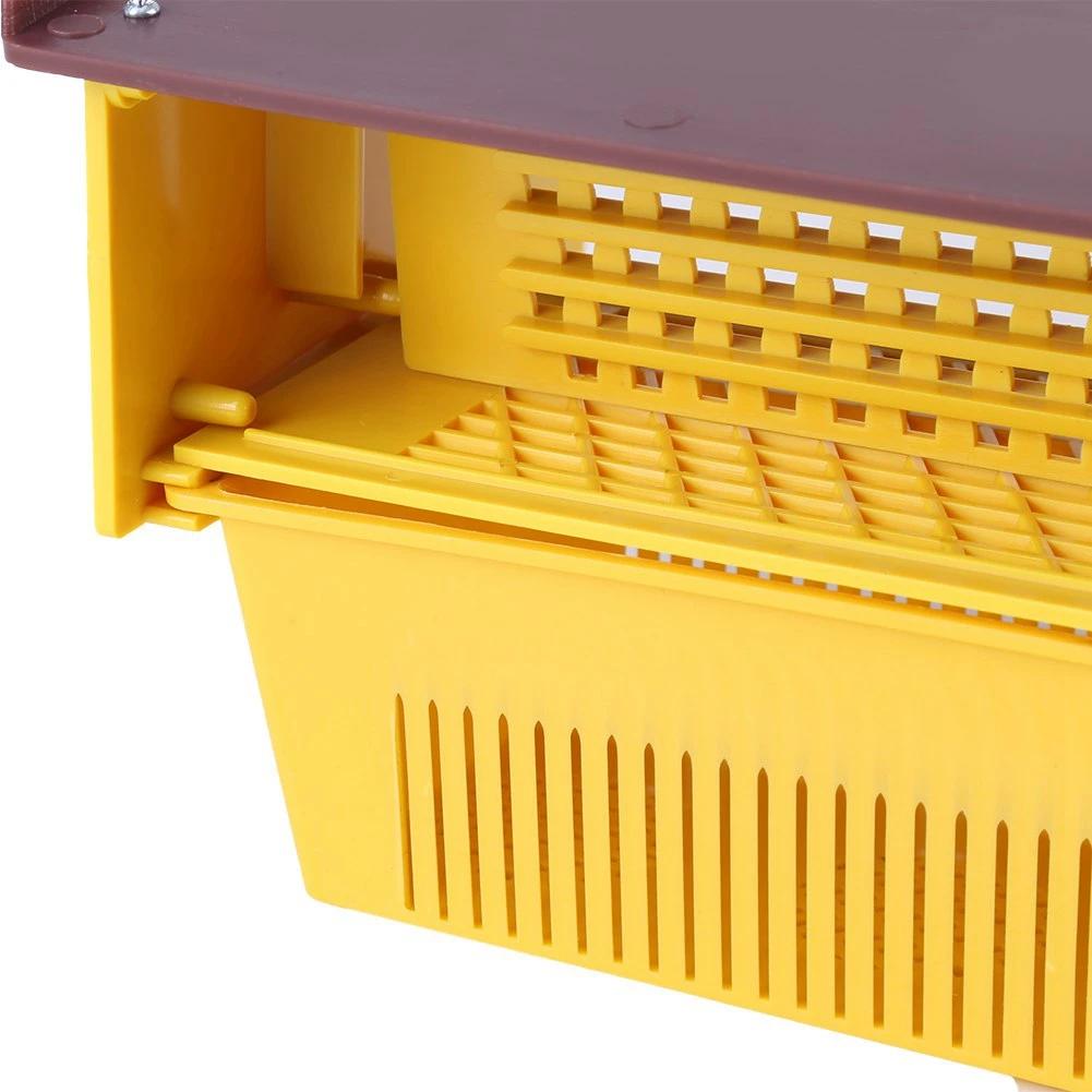 PerfecYellow-Piège en Plastique Ventilé par Escalade, Outil d'Apiculture