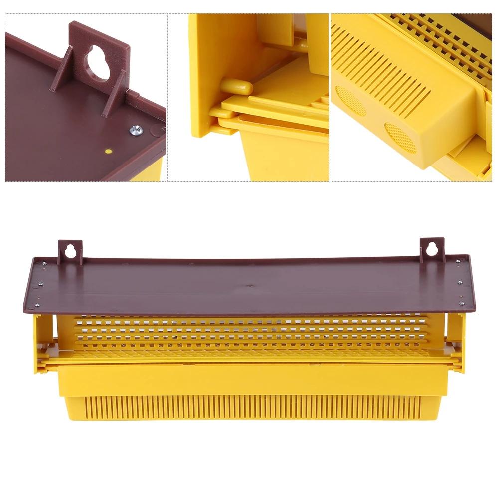 PerfecYellow-Piège en Plastique Ventilé par Escalade, Outil d'Apiculture