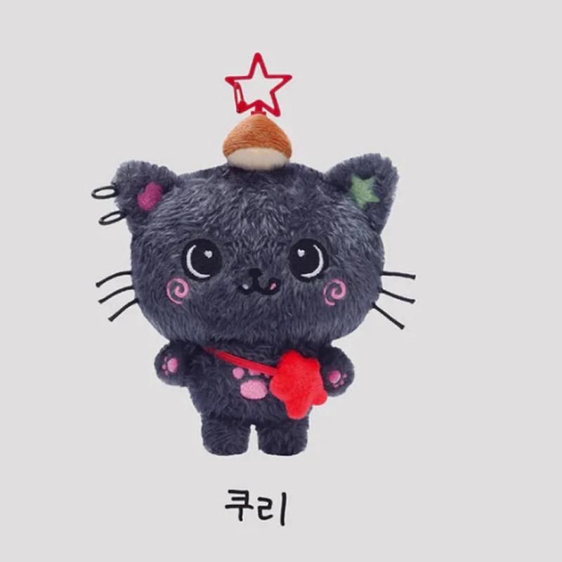 15 cm Kpop NTC souhait Sakuya RIKU YUSHI périphérique thé chat poupée en peluche chien porte-clés NT