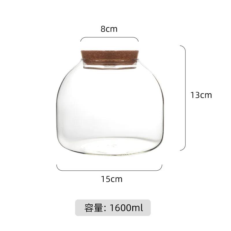 Micro paysage mousse Bryophyte Vase en verre avec liège vert frais mousse bouteille Terrarium en ver