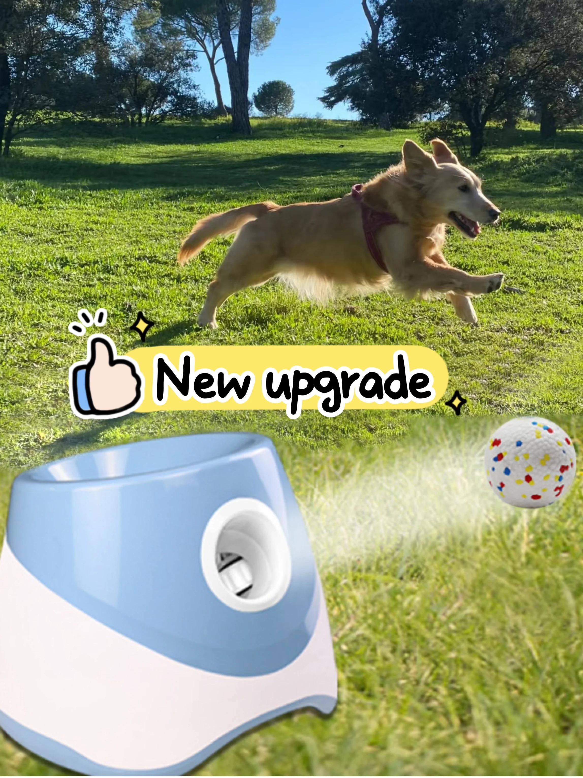 Lanceur existent pour Chien, Jouet de html, Tennis, Flipper, Amusant, Interactif, Catapulte Recharge