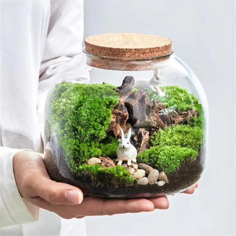 Micro paysage mousse Bryophyte Vase en verre avec liège vert frais mousse bouteille Terrarium en ver