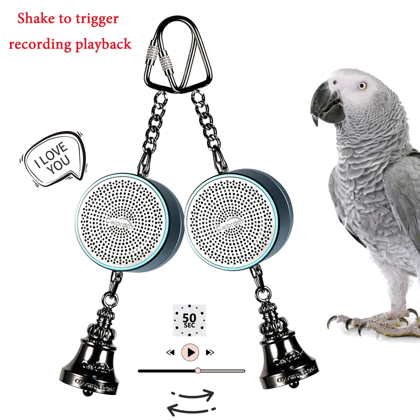 Jouets de perroquet pour fuchsia, oiseau d'entraînement, roi prudent, avantages, lecture statique in