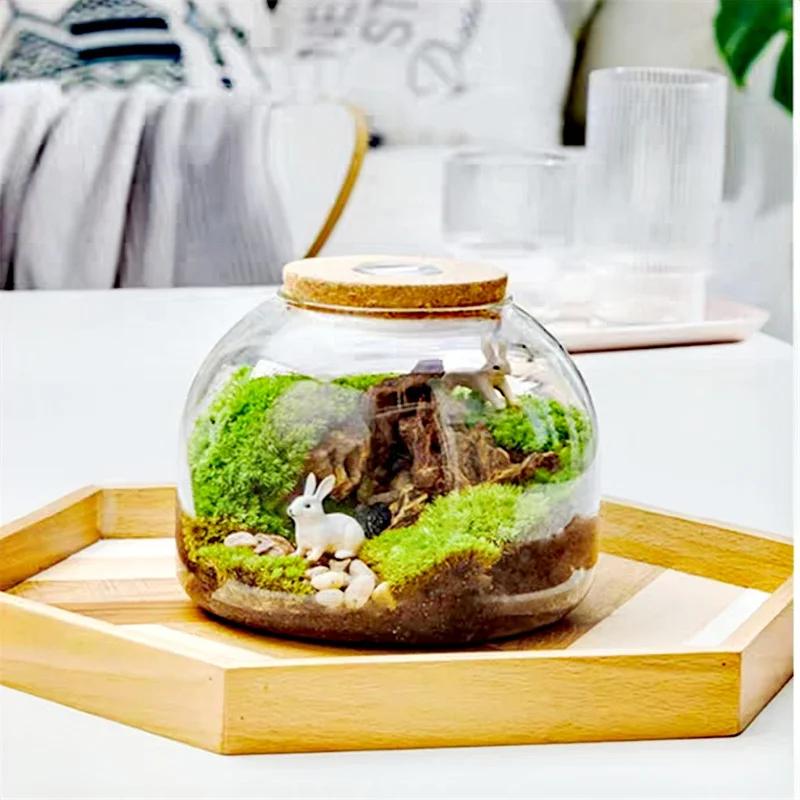 Micro paysage mousse Bryophyte Vase en verre avec liège vert frais mousse bouteille Terrarium en ver