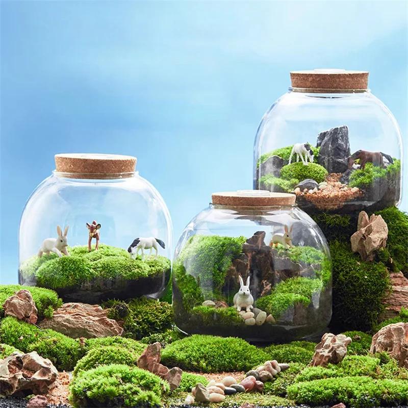 Micro paysage mousse Bryophyte Vase en verre avec liège vert frais mousse bouteille Terrarium en ver