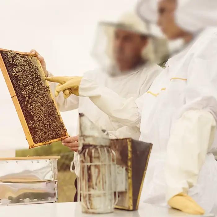 Gants de protection pour l'apiculture, manches respirantes, maille jaune, peau de mouton blanche et