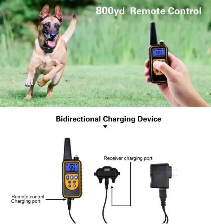 Collier de dressage électrique pour chien, 800m, étanche, télécommande pour animaux de compagnie, Re