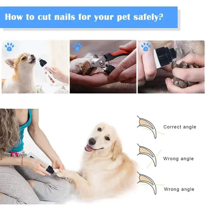 Broyeur à Ongles Électrique Indolore Rechargeable par USB, Coupe-Ongles Silencieux pour Chien et Cha