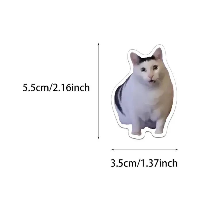 50pcs mignon drôle animaux chat Meme autocollants Kawaii dessin animé décalcomanies enfants jouets o