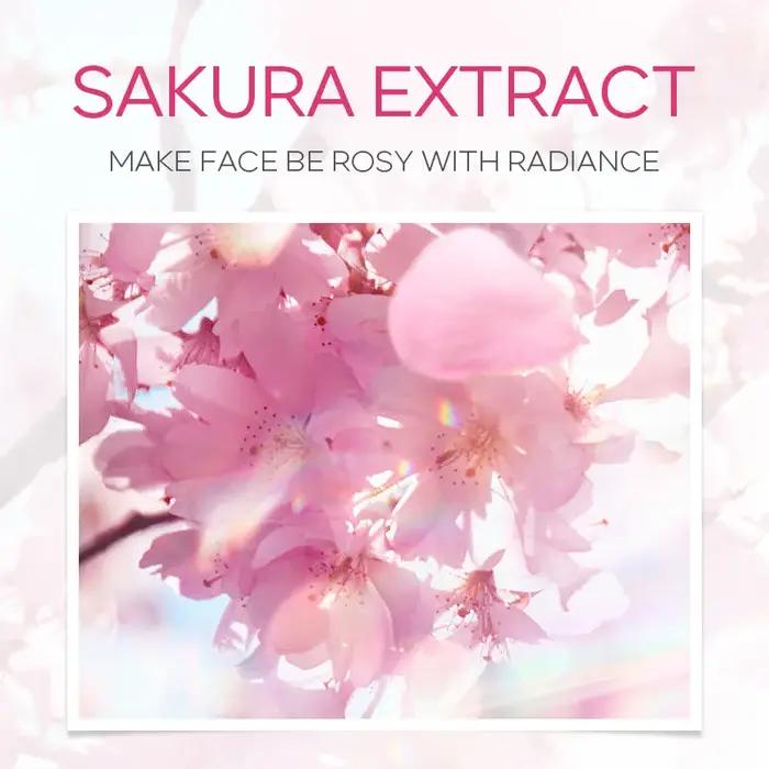 Ensemble de soins de la peau pour le visage, nettoyant, crème à l'essence de Sakura, toner hydratant