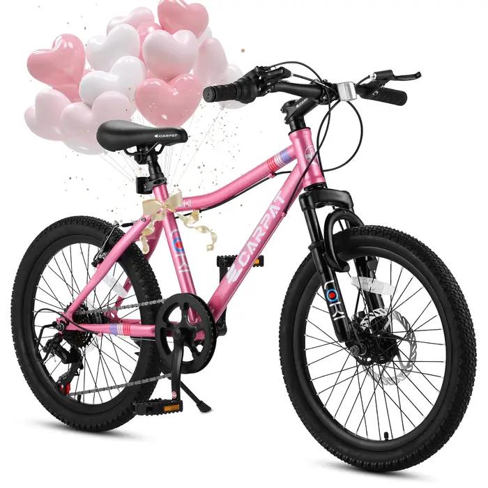Ecarpat-Vélo de montagne pour enfants, roue de 20 pouces, cadre en acier au carbone durable, vélo à