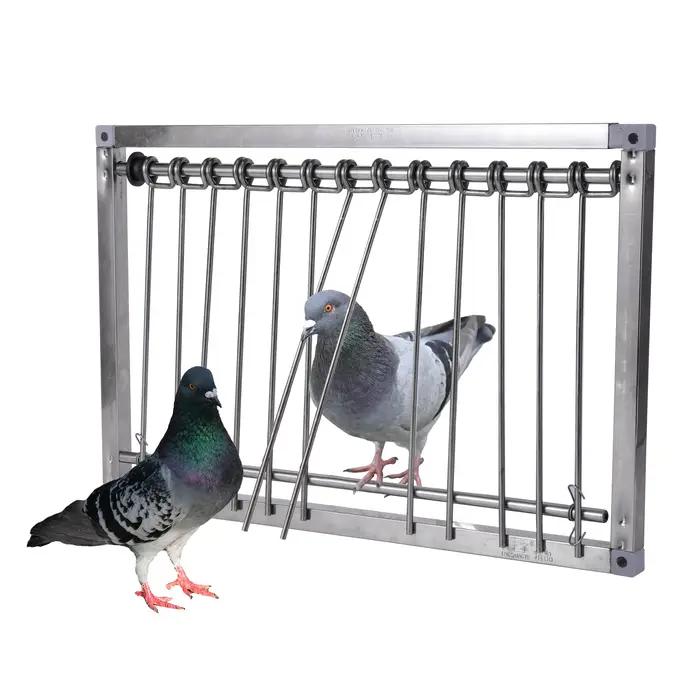 Piège à queue d'aronde en acier inoxydable, 1 pièce, porte de Pigeon, cadre métallique, fournitures