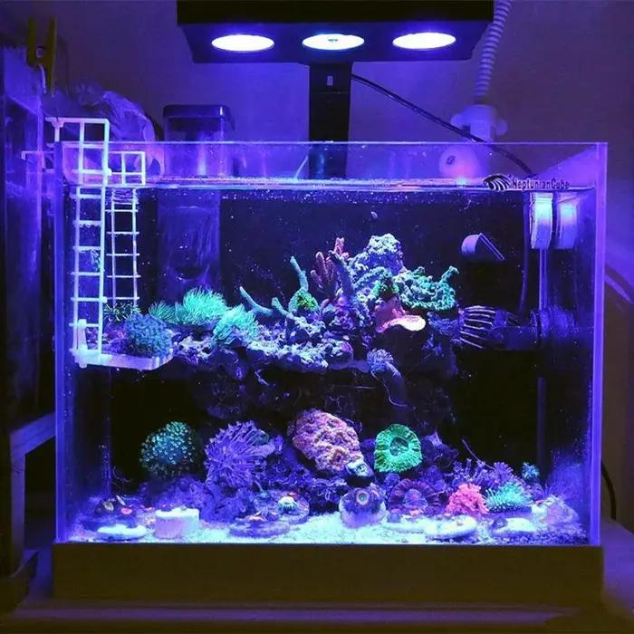 Spectra Character029-Lampe d'Aquarium d'Eau Salée, Éclairage avec Commande Tactile, 30W, pour Sites,